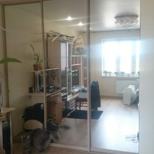 Зеркальные двери-купе в квартире на Ленинградской ул. д.5