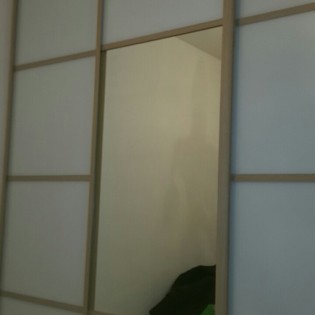 Двери-купе с наполнением из декорированных стёкол (лакобель) и зеркала с разделителями в квартире на Воронцовском б-ре