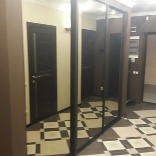 Зеркальные двери-купе в квартире на Полтавском пер.