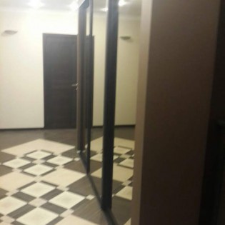 Зеркальные двери-купе в квартире на Полтавском пер.