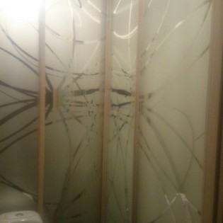 Двери-купе с наполнением из зеркал с пескоструйными рисунками в квартире на ул. Венская в Кудрово