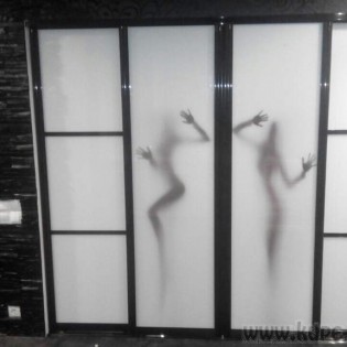 Двери-купе с наполнением из тонированных стёкол с разделителями (плёнка Oracal  010 Белый) и фотопечатью на стекле в квартире в пос. Воейково