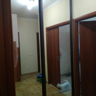 Зеркальные двери-купе в квартире в Софийской ул.