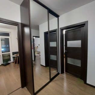 Шкаф-купе с зеркальными дверями в профиле Венге структура