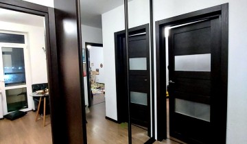 Шкаф-купе с зеркальными дверями в профиле Венге тёмный