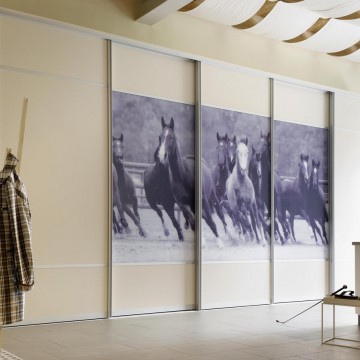 Двери-купе с панелями ЛДСП Премиум Эггер и фотопечатью