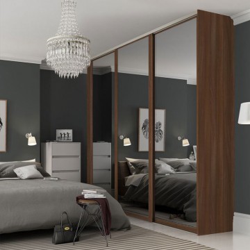 Шкаф-купе с дверями в профиле Венеция с зеркалом Графит