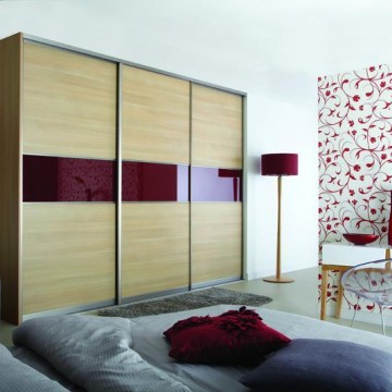 Шкаф-купе с дверями со вставками ЛДСП и тонировки