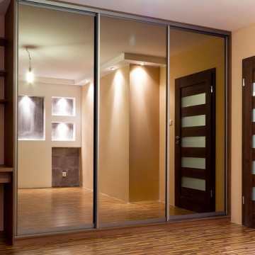 Шкаф-купе с зеркальными дверями в профиле Браш