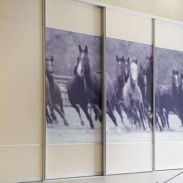 Вставки обычного стекла с фотопечатью и ЛДСП Премиум