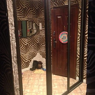 Зеркальные двери-купе в квартире на ул. Ивана Фомина. Цвет профиля - Крок Шоколад (new!)