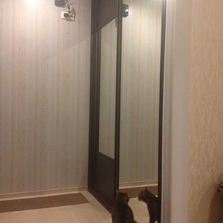 Двери-купе с наполнением из зеркала и ДСП с разделителями для встроенного шкафа в квартире на Оранжерейной ул. д.51
