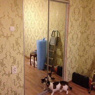 Зеркальные двери-купе в квартире на Юкковском ш.