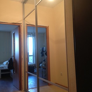 Зеркальные двери-купе с разделителями в квартире на Европейском пр. д.11