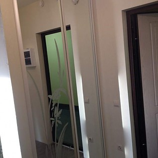 Двери-купе с пескоструйным рисунком на зеркале в квартире на ул. Рубцова.  См. отзыв Валерии от 16 апреля 2015.