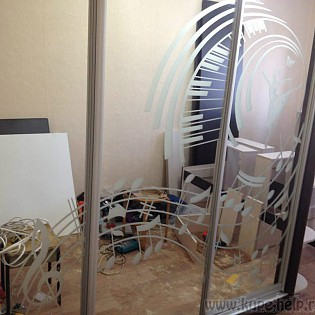 Двери-купе с пескоструйным рисунком (по эскизу заказчика) на зеркале для шкафа-купе в квартире в Колпино