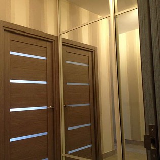 Зеркальные двери-купе с разделителями в квартире на Лиговском пр. д.123