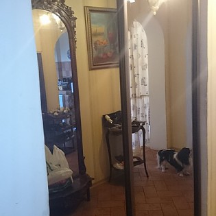 Зеркальные двери-купе в квартире на ул. Гончарова во Всеволожске