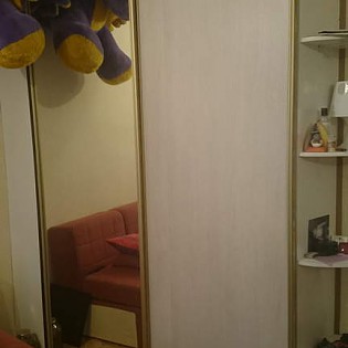 Двери-купе с разным наполением (зеркало и ДСП) в квартире в Сертолово