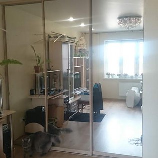 Зеркальные двери-купе в квартире на Ленинградской ул. д.5 (Новый Оккервиль)
