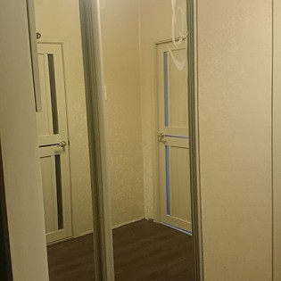 Двери-купе с наполнением из зеркала с пескоструйным рисунком в квартире на ул. Фёдора Абрамова