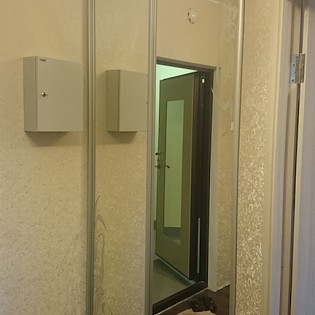 Двери-купе с наполнением из зеркала с пескоструйным рисунком в квартире на ул. Фёдора Абрамова