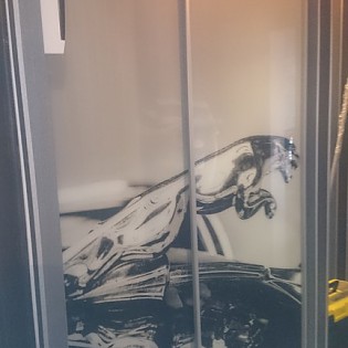Двери-купе с декоративной вставкой (стекло с фотопечатью) в квартире во Всеволожске на Василеозерской ул. д.2