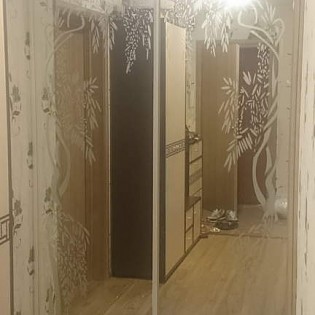 Зеркальные двери-купе с пескоструйными рисунками в квартире на ул. Планерной д.53 к.2