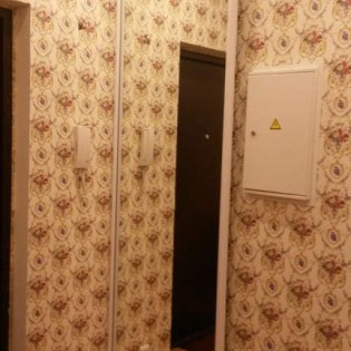 Зеркальная дверь-купе для прихожей в квартире на ул.Привокзальной д.3 к.2. См. отзыв Натальи от 29/07/2015г.
