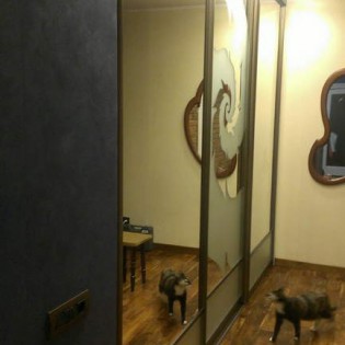 Двери-купе с наполнением из зеркала с пескоструйным рисунком в квартире на Выборгском ш.