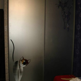 Двери-купе с пескоструйным рисунком на зеркале на пр. Большевиков