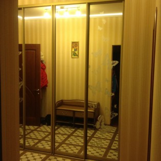 Двери-купе с наполнением из зеркал с пескоструйным рисунком ("Бабочки") в квартире на ул. Димитрова д.43
