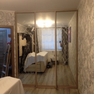 Двери-купе с наполнением из зеркал с пескоструйными рисунками в квартире на пр. Космонавтов д.37