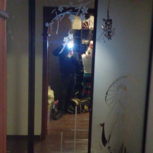Двери-купе с наполнением из зеркал с пескоструйными рисунками в квартире на ул. Сизова
