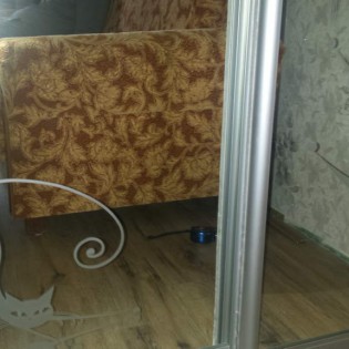 Двери-купе с наполнением из зеркал с пескоструйным рисунком в квартире на ул. Пограничника Гарькавого