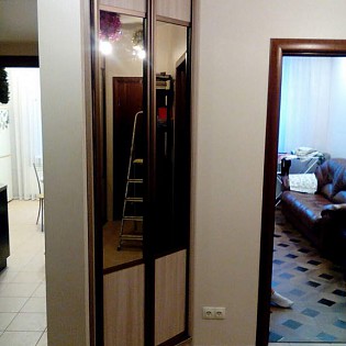 Распашные двери из алюминиевого профиля и наполнения ДСП и зеркало Бронза в квартире на ул. Ворошилова