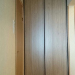 Двери-купе с наполнением из ДСП (Вяз швейцарский) в квартире на Красносельском ш.