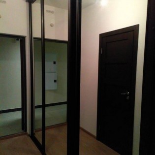 Зеркальный двери-купе в квартире на Европейском пр. д.8