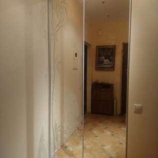 Двери-купе с пескоструйным рисунком в профиле SLIM в квартире на Приморском пр.
