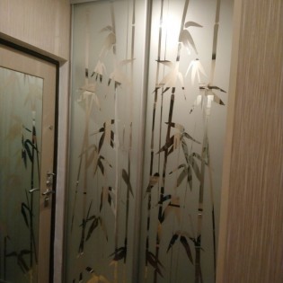 Двери-купе с наполнением из зеркала с пескоструйным рисунком в квартире на ул. Авиаторов Балтики в Мурино