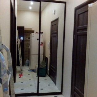 Зеркальные двери-купе (2-дверный шкаф) в квартире на ул. Социалистической
