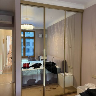 Подвесные двери с гравировкой на зеркале серебро в подвесной системе РОСЛА цвет профиля Золото