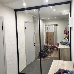 Зеркальные двери в профиле Аристо